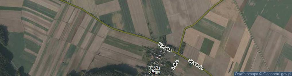 Zdjęcie satelitarne Wysocka ul.